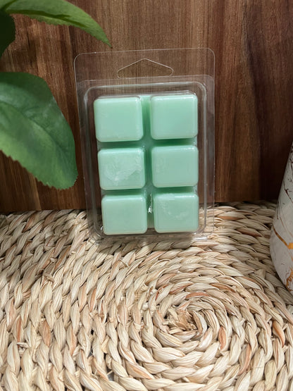 Pine & Eucalyptus Wax Melt